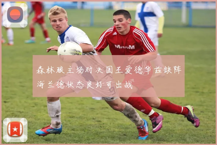 森林狼主场对决国王爱德华兹缺阵海兰德状态良好可出战