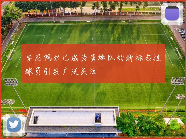 克尼佩尔已成为黄蜂队的新标志性球员引发广泛关注