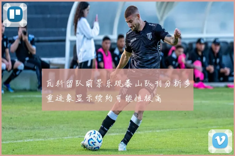 瓦科留队前景乐观泰山队刊分析多重迹象显示续约可能性极高