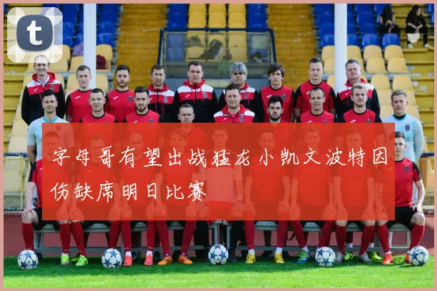 字母哥有望出战猛龙小凯文波特因伤缺席明日比赛