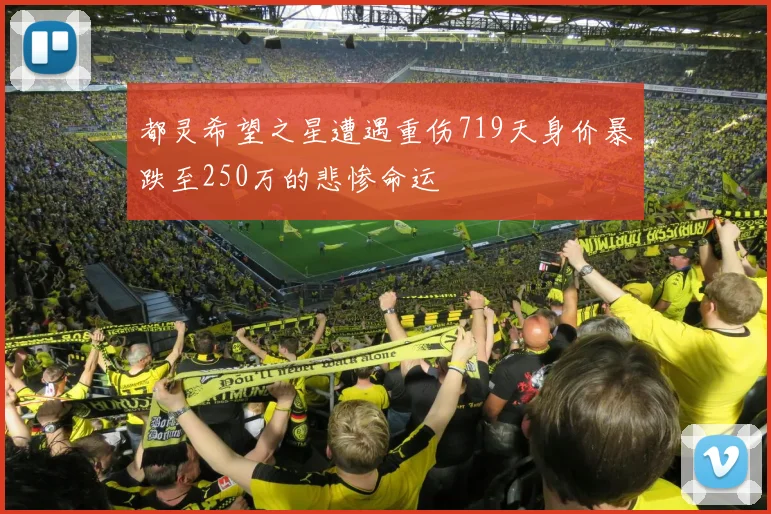 都灵希望之星遭遇重伤719天身价暴跌至250万的悲惨命运